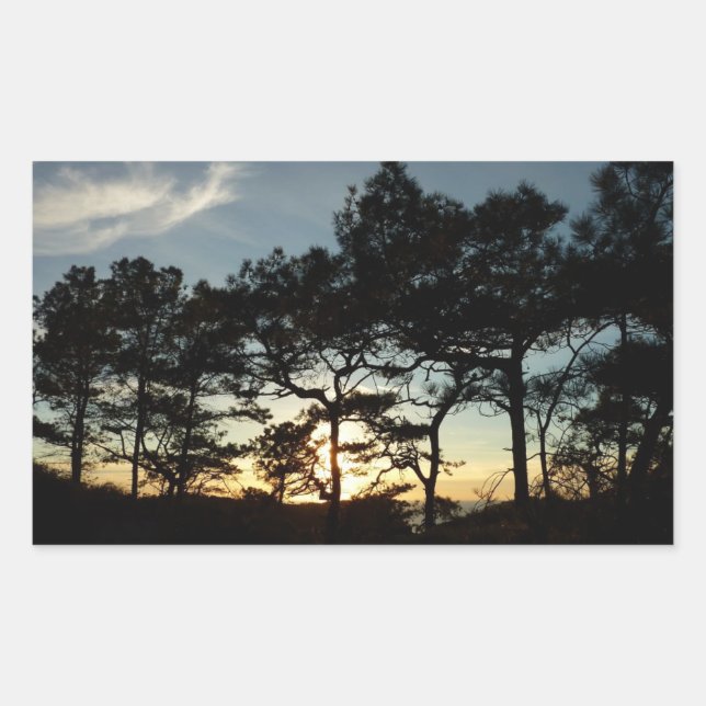 Torrey Pine Sunset II California Landscape Sticker (Front)
