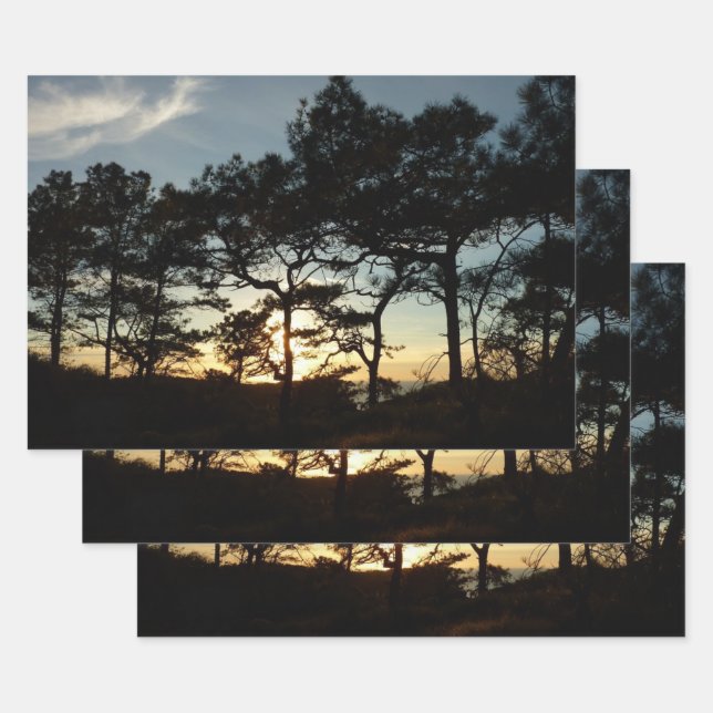 Torrey Pine Sunset II California Landscape Wrapping Paper Sheet (Set)