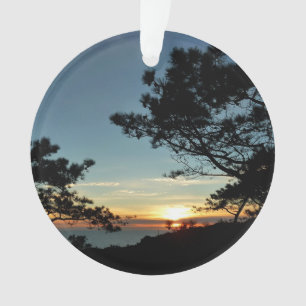 Torrey Pine Sunset III Paysage californien