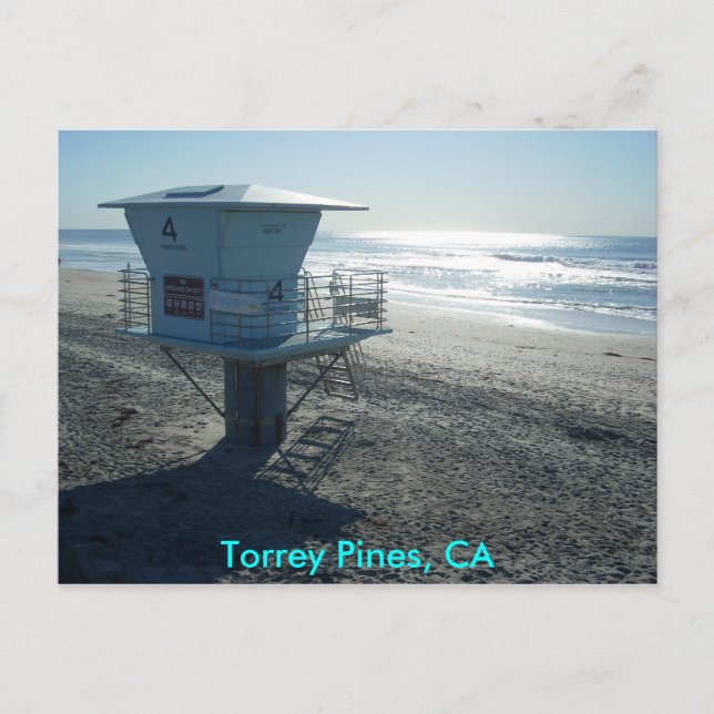 Torrey Pines, CA Postcard (Front)