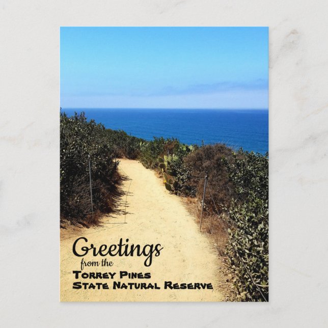 Torrey Pines Natural Reserve La Jolla California Postcard (Front)