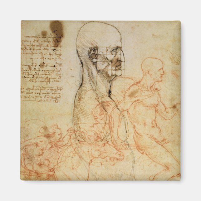 Torso of a Man in Profile, the Head Squared for Pr Magnet (Front)