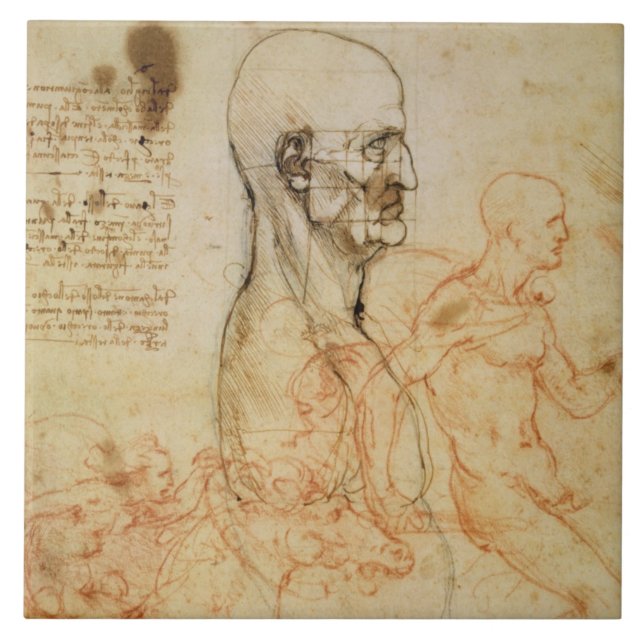 Torso of a Man in Profile, the Head Squared for Pr Tile (Front)