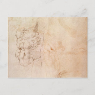 Torso Study Postcard