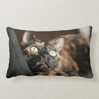 tortie cat pillow