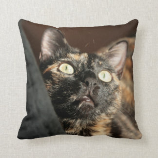 tortie cat pillow