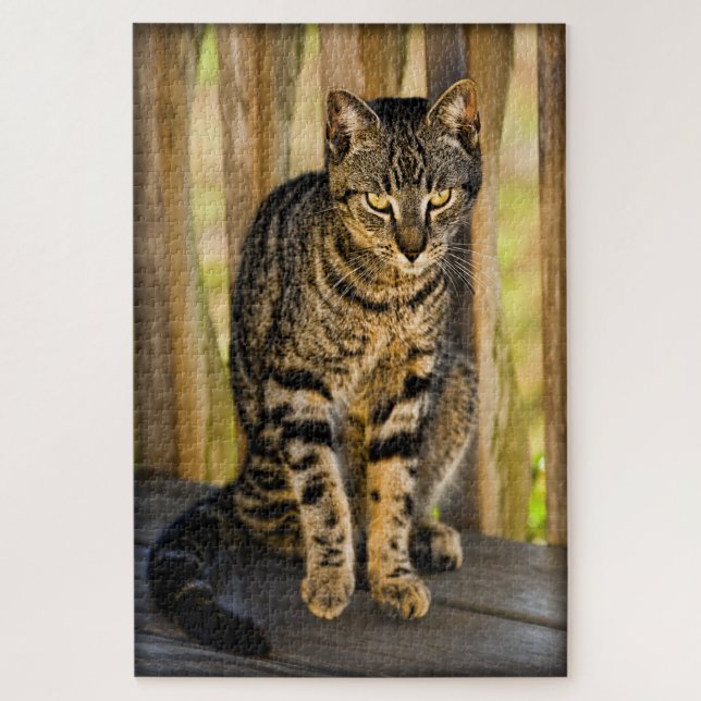 Tortie - Tortoiseshell Cat - Pet Photography Jigsaw Puzzle (Vertical)