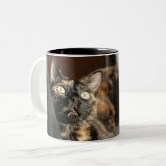Tortitude mug - tortoiseshell cat
