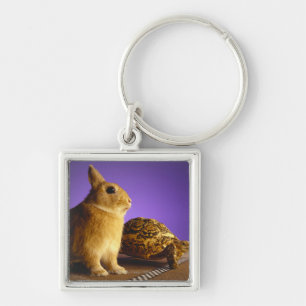 Tortoise and the hare keychain