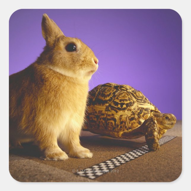 Tortoise and the hare square sticker (Front)