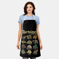 Tortoise Animals of the World Cute Reptile Turtle