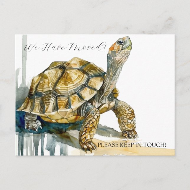Tortoise Art Postcard (Front)