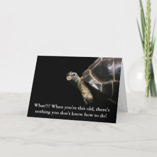 Tortoise Bubble Card