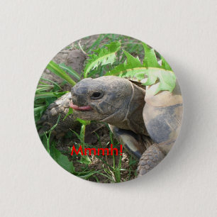 Tortoise Button
