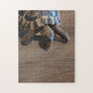 Tortoise Close-Up Jigsaw Puzzle