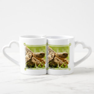 Tortoise Coffee Mug Set