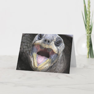 Tortoise Dit Bonjour ! Carte