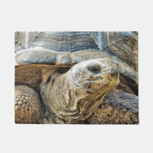 TORTOISE DOORMAT