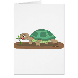 Tortoise eating