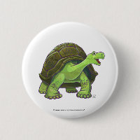 Tortoise Gifts & Accessories
