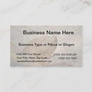 tortoise head close up old turtle business card