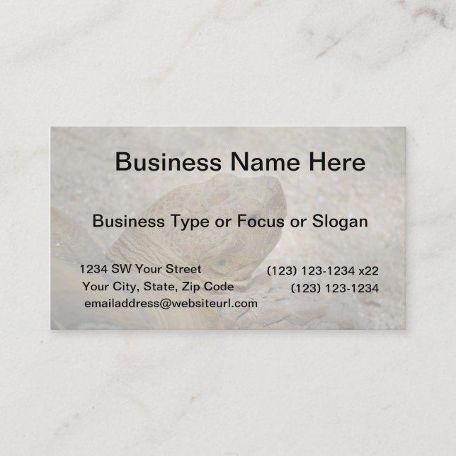 tortoise head close up old turtle business card (Front)