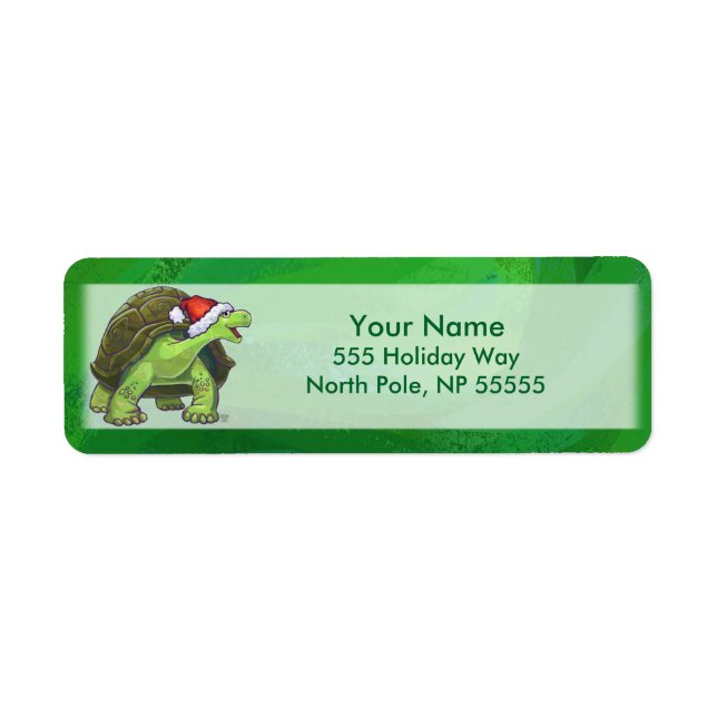 Tortoise in Santa Hat On Green (Front)