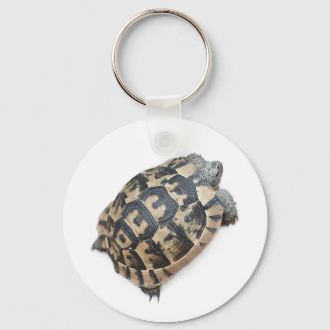 Tortoise Keychain (Front)