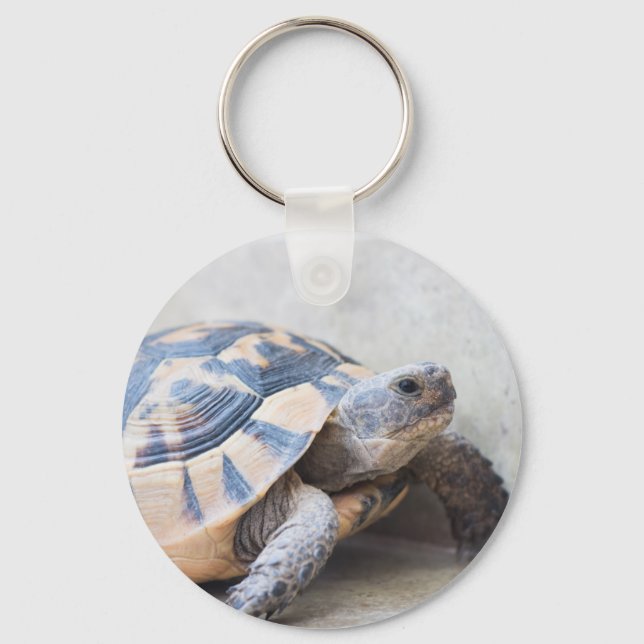 Tortoise Keychain (Front)
