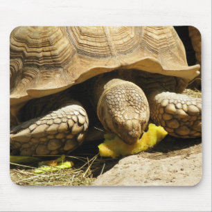 Tortoise Mouse Pad