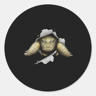 Tortoise Owner Turtle Tortoise Love Tortoise Classic Round Sticker