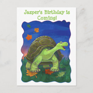 Tortoise Party Centre Announcement Postcard
