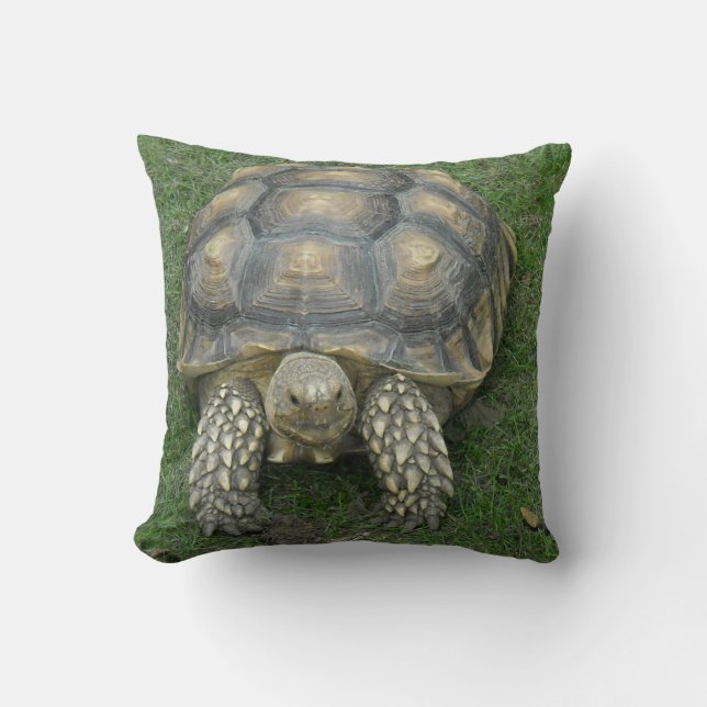 Tortoise Pillow (Front)