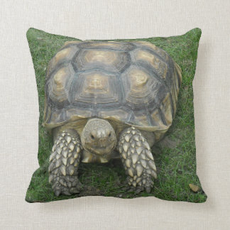 Tortoise Pillow