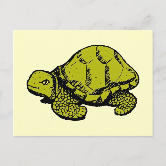 Tortoise Postcard (Front)