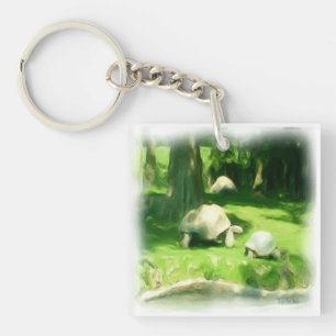 Tortoise Race Keychain