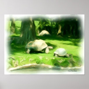 Tortoise Race Poster