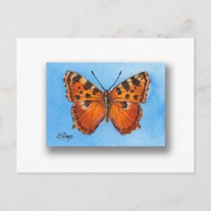 Tortoise Shell Butterfly Postcard