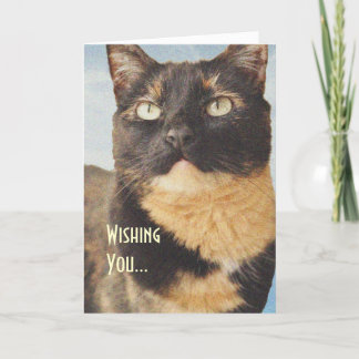 Tortoise Shell Cat Birthday Card