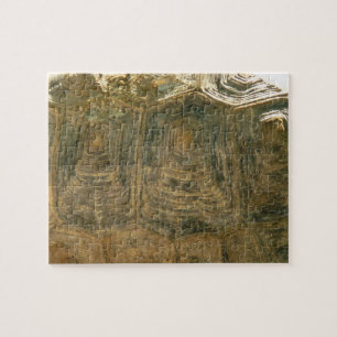 Tortoise Shell Nature Photo Jigsaw Puzzle