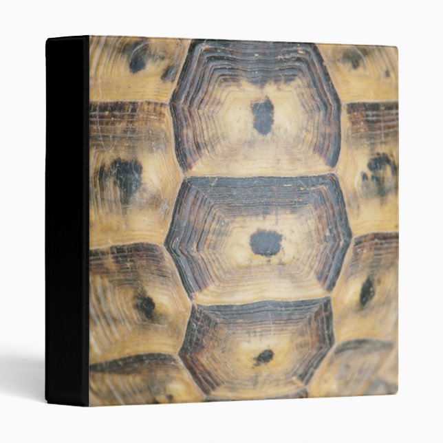 Tortoise Shell Pattern Binder (Front/Spine)
