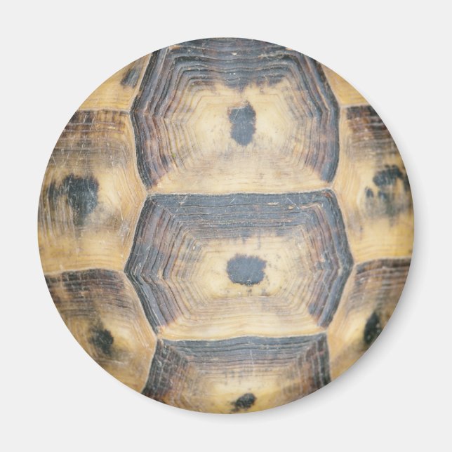 Tortoise Shell Pattern Magnet (Front)