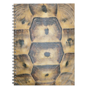 Tortoise Shell Pattern Notebook