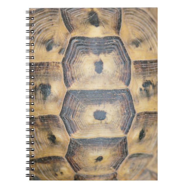 Tortoise Shell Pattern Notebook (Front)