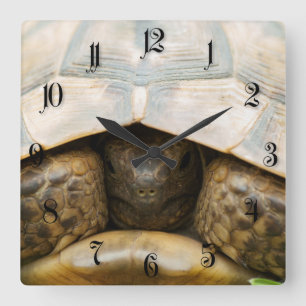 Tortoise Square Wall Clock