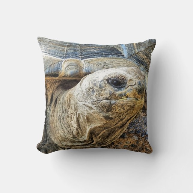 TORTOISE THROW PILLOW (Front)