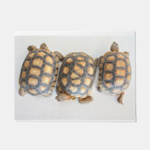 Tortoise Trio doormat