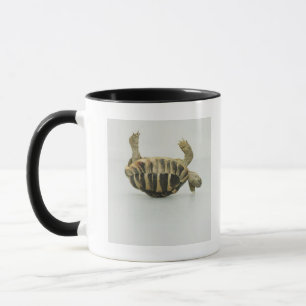 Tortoise upside down, balancing on shell mug