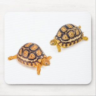 Tortoises Meeting Mouse Pad
