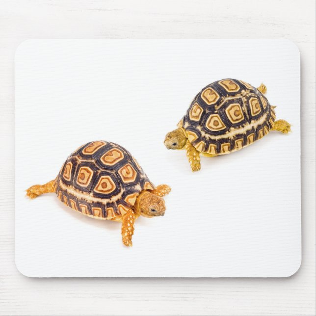 Tortoises Meeting Mouse Pad (Front)